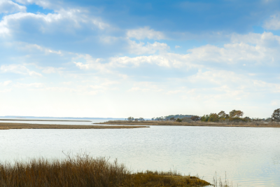 Eastern Shore Chapter
