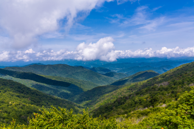 Western North Carolina Chapter